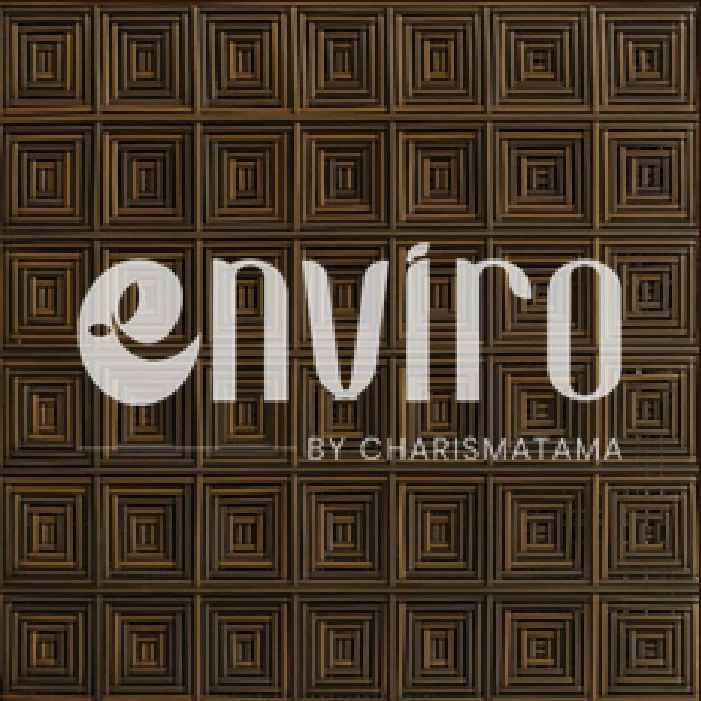 ENVIRO Pattern 12